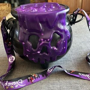 Disneyland Popcorn bucket